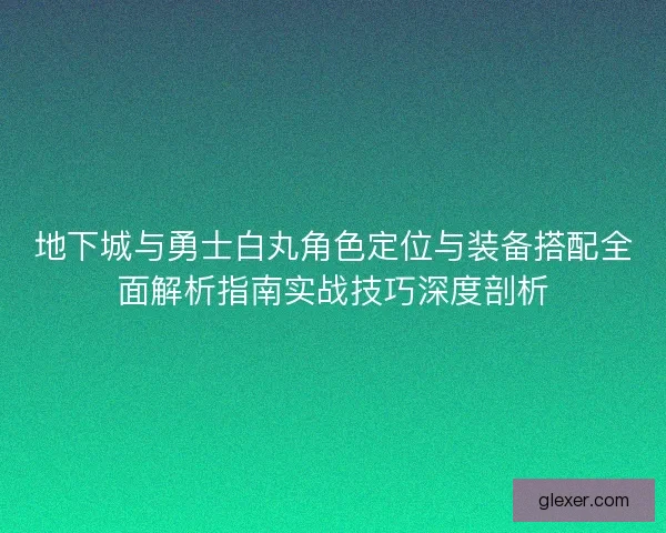 地下城与勇士白丸角色定位与装备搭配全面解析指南实战技巧深度剖析